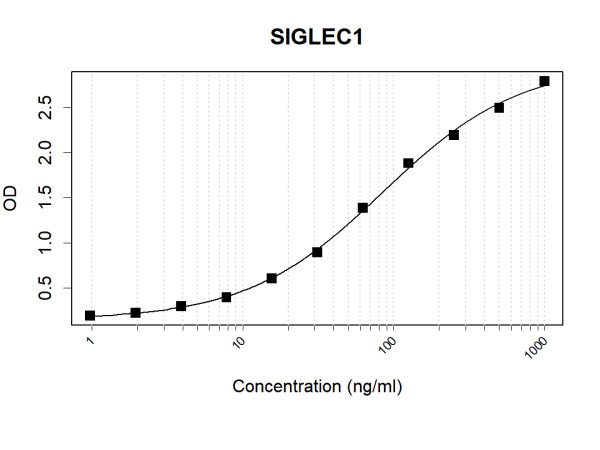 Anti-Human SIGLEC1 Antibody Pair