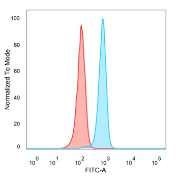 Anti-BCL6, clone PCRP-BCL6-1B1