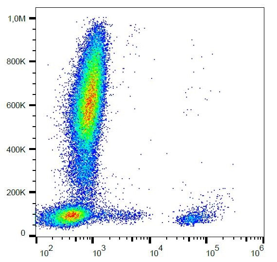 Anti-CD20, clone 2H7 (PerCP)