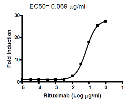 ADCP Bioassay Effector Cell FcgammaRIIa (H variant) /NFAT Reporter-Jurkat