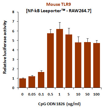 CpG ODN (1826), TLR9 ligand (Class B)
