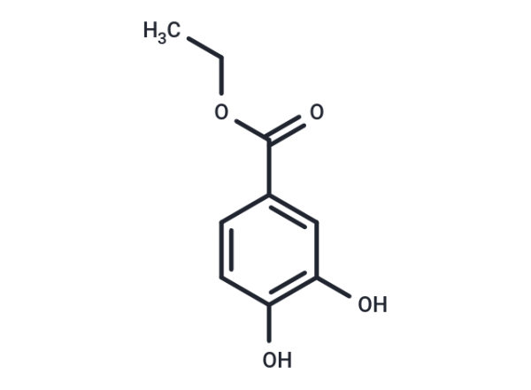 Ethyl 3,4-dihydroxybenzoate