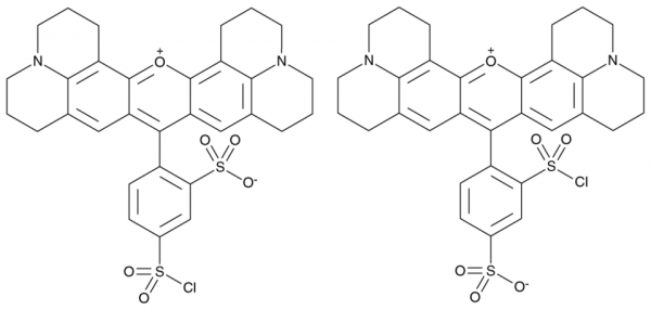 Sulforhodamine 101 Sulfonyl Chloride