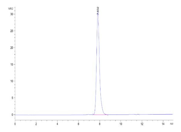 Biotinylated Human B7-H3/CD276 Protein