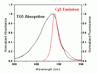 Tide Quencher(TM) 5WS succinimidyl ester (TQ5WS SE)