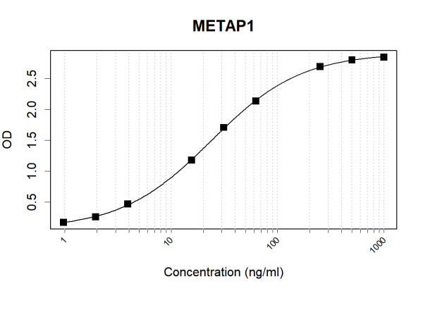 Anti-Human METAP1 Antibody Pair