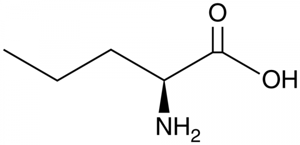 L-Norvaline