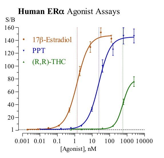 ERbeta (human) Reporter Assay Kit