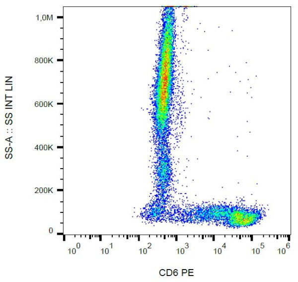 Anti-CD6, clone MEM-98 (PE)