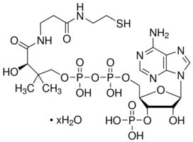 Coenzyme A, Free Acid