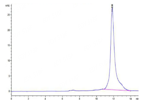 PLAU/uPA, His &amp; Avi, Mouse