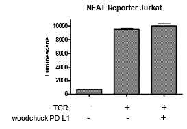 Woodchuck PD-L1 / TCR Activator Mammalian Expression Kit