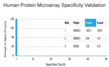 Anti-SMNDC1, clone PCRP-SMNDC1-1A9
