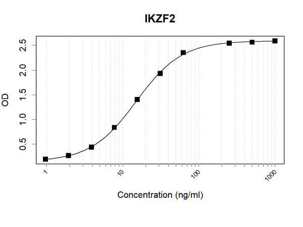 Anti-Human IKZF2 Antibody Pair