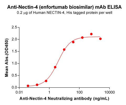 Anti-Nectin-4 (Enfortumab Biosimilar Antibody)