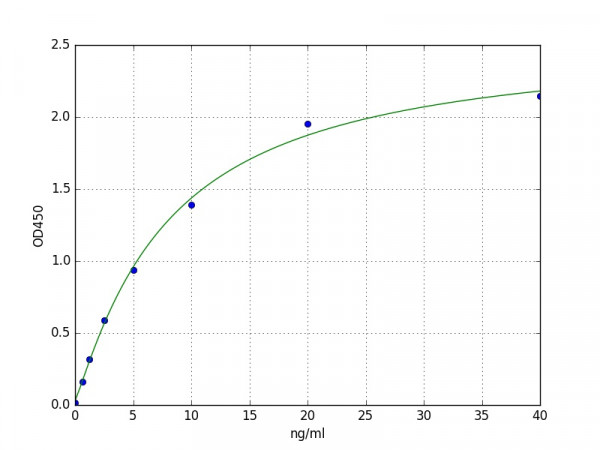 Human Carboxypeptidase E / CPE ELISA Kit