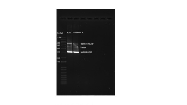 ReadiPrep(TM) Plasmid Preparation Mini Kit