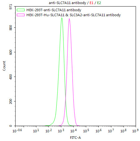 HEK293T/Human SLC7A11 &amp; SLC3A2 Stable Cell Line