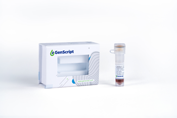 CytoSinct(TM) TCR alphabeta Nanobeads, human