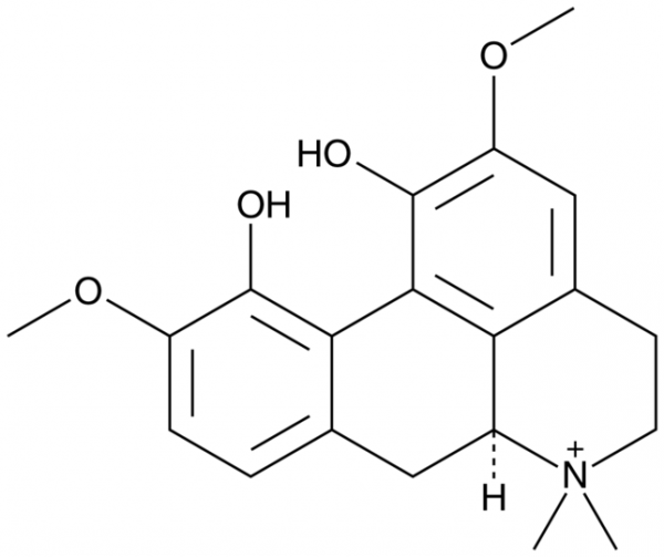 Magnoflorine