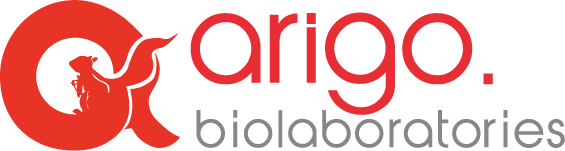 Arigo-Logo