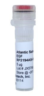 EGF Recombinant Protein, salmon atlantic (asaEGF)