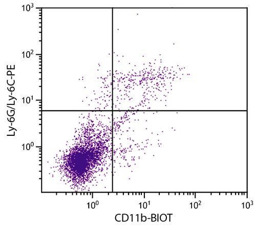 Anti-CD11b (Biotin), clone 3A33