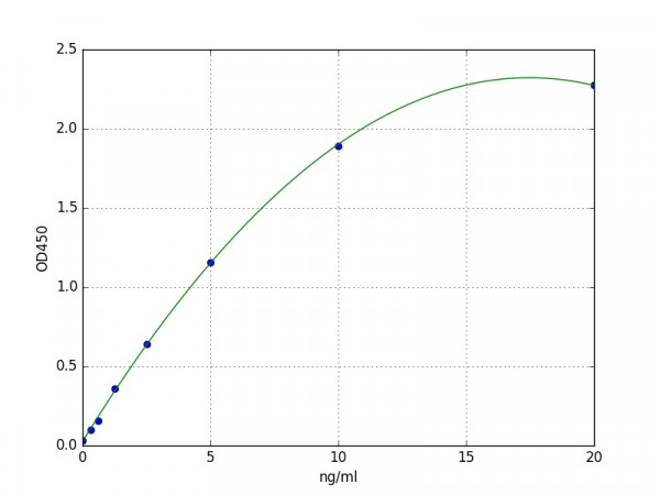 Human CRBN / Protein cereblon ELISA Kit