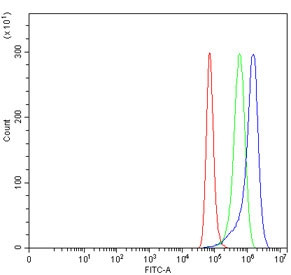 Anti-TGFBR3 / TGF beta Receptor III