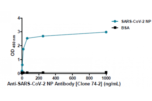 Anti-SARS-CoV-2 NP Antibody [Clone 74-2]
