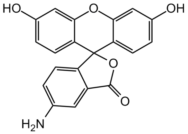 5-Aminofluorescein