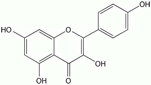 Kaempferol, 95%