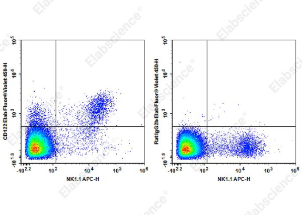 Elab Fluor(R) Violet 450 Anti-Mouse CD122 Antibody[TM-Beta 1]