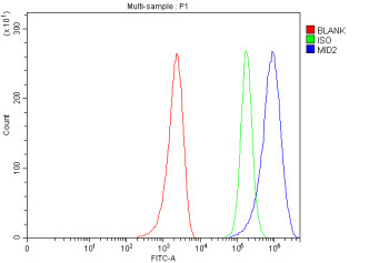 Anti-MID2 / Midline 2