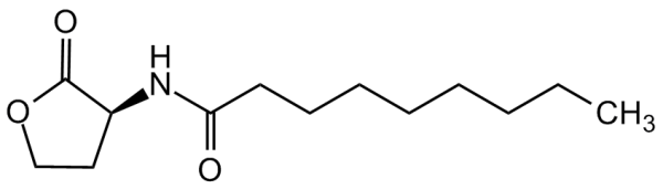 N-Nonanoyl-L-homoserine lactone