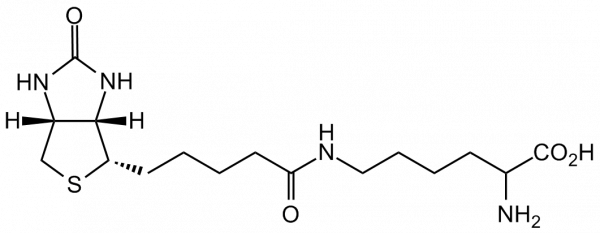 Biocytine