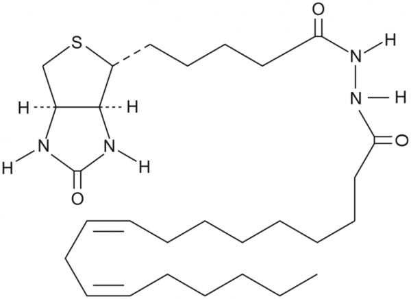 Linoleic Acid-biotin
