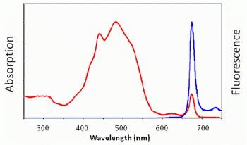 PerCP-streptavidin conjugate (1 mg/ml)