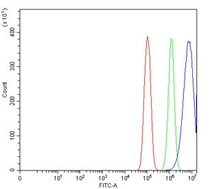 Anti-PC4 / Positive cofactor 4 / SUB1, clone 2D13E3