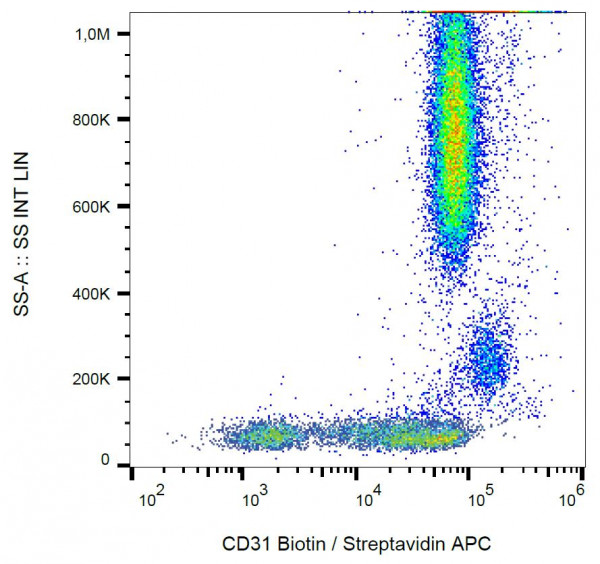 Anti-CD31, clone MEM-05 (Biotin)