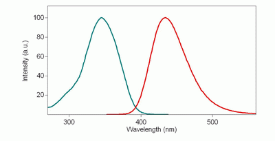 Annexin V-iFluor(TM) 350 conjugate