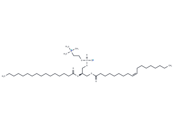 1-Oleoyl-2-palmitoyl-sn-glycero-3-PC