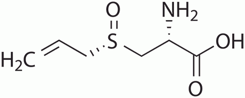 L(+)-Alliin (3-(2-Propenylsulfinyl) alanine)