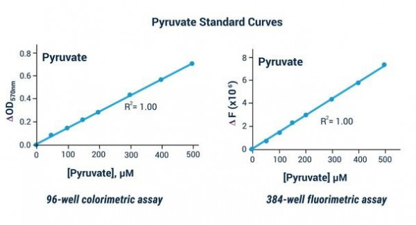 Pyruvate Assay Kit (Colorimetric or Fluorometric)