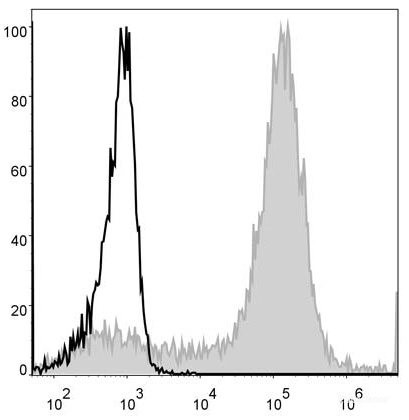 Anti-Mouse/Human CD11b (PE Conjugated)[M1/70], clone M1/70