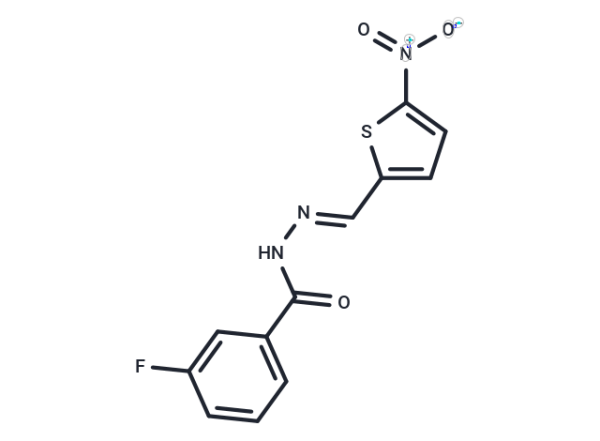 MitoBloCK-10