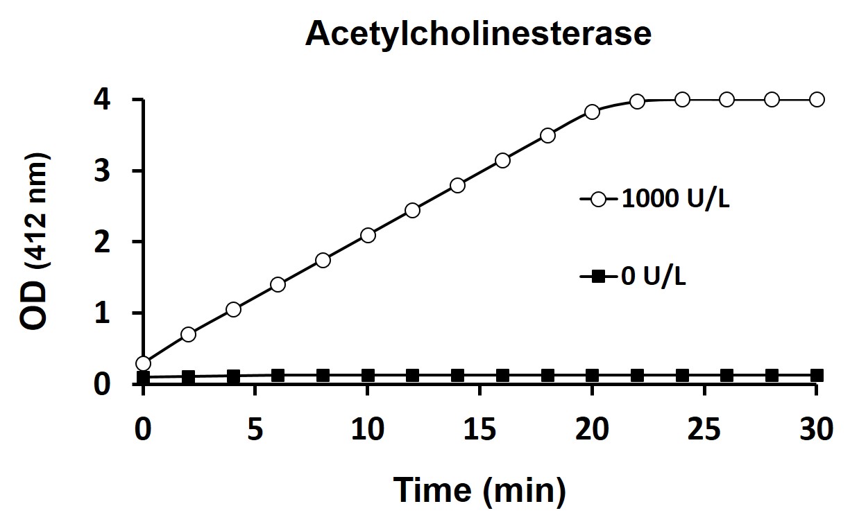 Acetylcholinesterase Activity Assay Kit (Colorimetric) Arigo