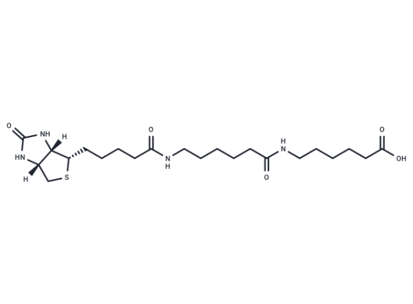 Biotin-C5-amino-C5-amino