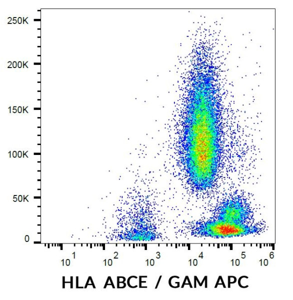 Anti-HLA ABCE, clone TP25.99SF