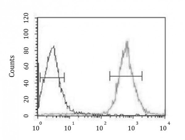 Anti-CDK14 / PFTK1